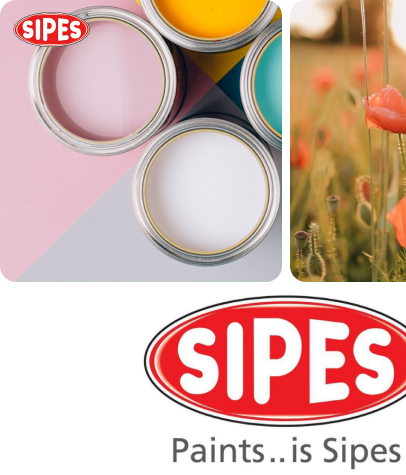 Sipes paint colors and campaign visual